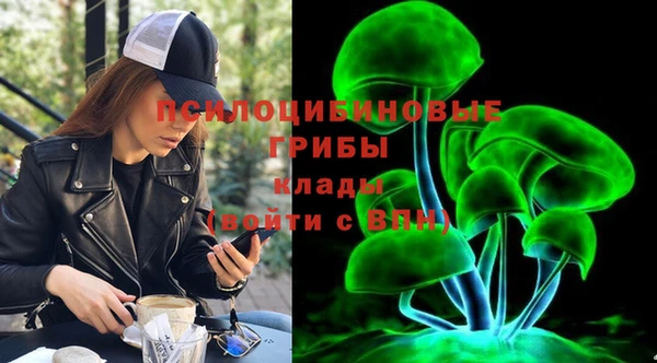 прущая мука Арсеньев